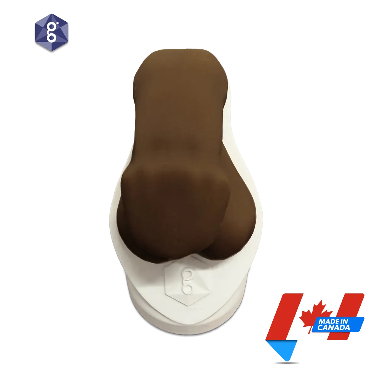 Atlas™ Men’s Pelvic Health Educational Model