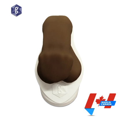 Atlas™ Men’s Pelvic Health Educational Model