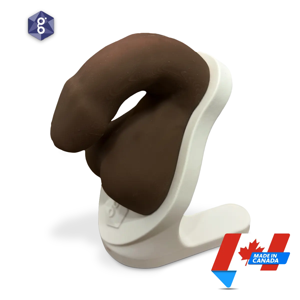 Atlas™ Men’s Pelvic Health Educational Model