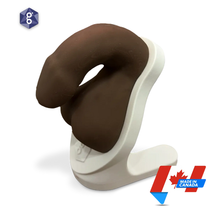 Atlas™ Men’s Pelvic Health Educational Model