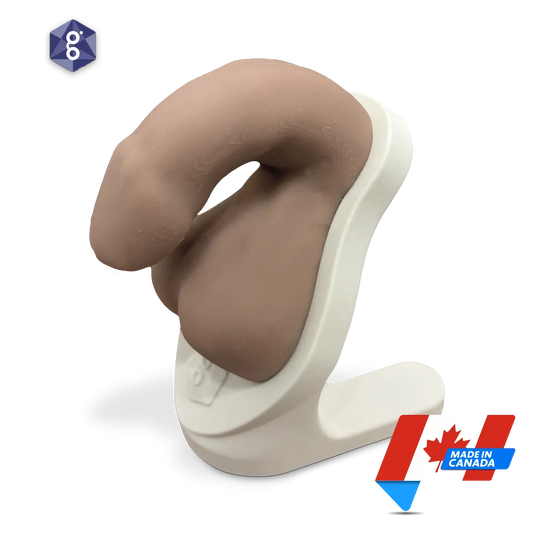 Atlas™ Men’s Pelvic Health Educational Model