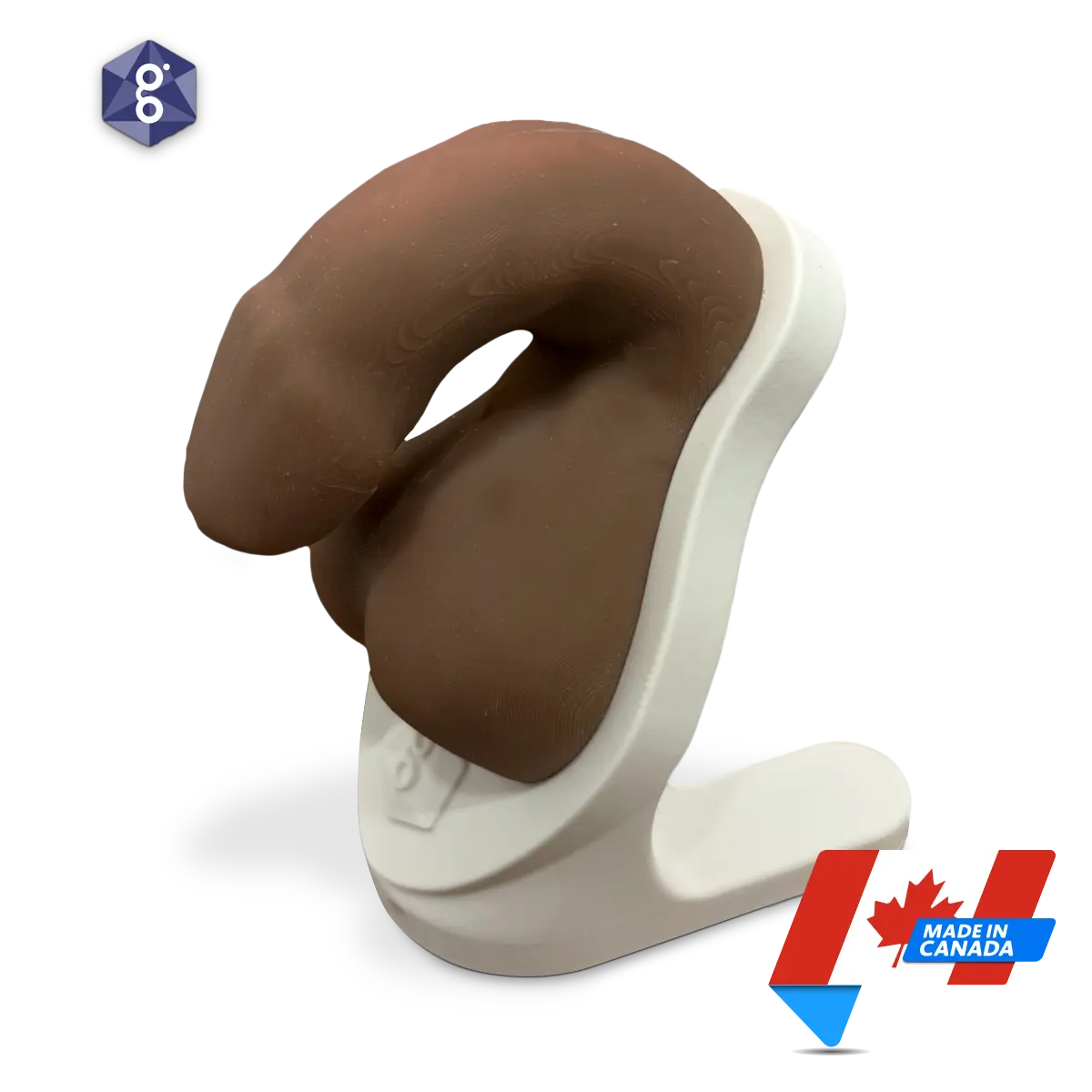 Atlas™ Men’s Pelvic Health Educational Model